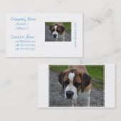 Schattig Sint Bernard Visitekaartje (Voorkant / Achterkant)
