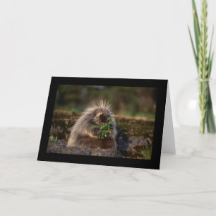 Schattig stekelvarken kaart