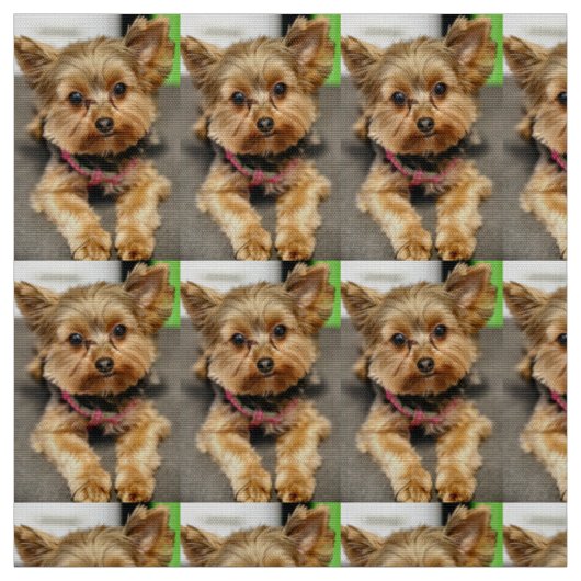 Schattig Stof (Swatch)