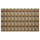 Schattig Stof (Fat Quarter)