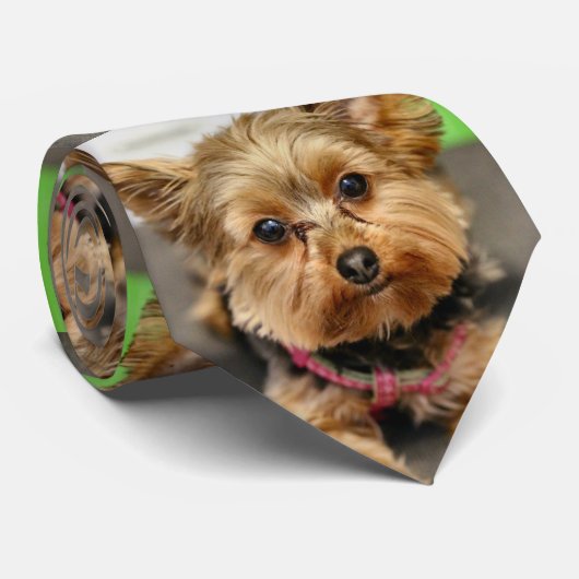 Schattig Stropdas (Opgerold)