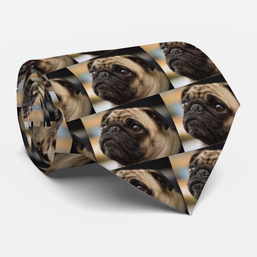 Schattig Stropdas (Opgerold)