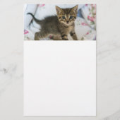 Schattig Tabby kitten kijken verrast Briefpapier (Voorkant)
