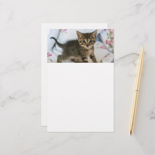 Schattig Tabby kitten kijken verrast Briefpapier (Voorkant / Achterkant in situ)