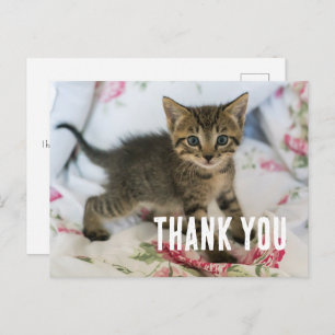 Schattig Tabby kitten kijken verrast dank u Briefkaart