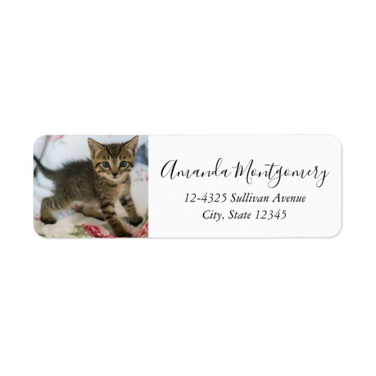 Schattig Tabby kitten kijken verrast Etiket (Voorkant)