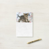 Schattig Tabby kitten kijken verrast Post-it® Notes (Op bureau)