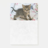 Schattig Tabby kitten kijken verrast Post-it® Notes (Voorkant)
