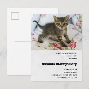 Schattig Tabby kitten kijken verrast verjaardag Uitnodiging Briefkaart