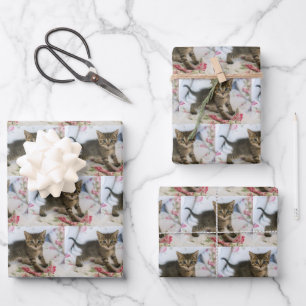 Schattig Tabby kitten op zoek verrast patroon Inpakpapier Vel