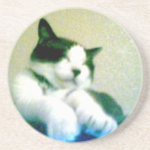 schattig teruggegooid kat