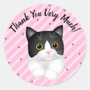 Schattig Tuxedo Kitten Dank u Ronde Sticker