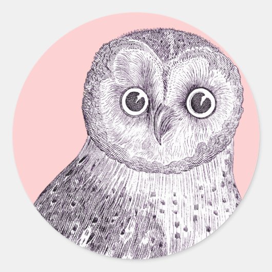 Schattig Uil - Gevlekte of Verblote Uil Antiek Pri Ronde Sticker (Voorkant)