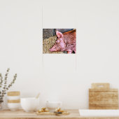 SCHATTIG VARKEN POSTER (Keuken)