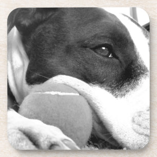 schattig verdrietig uitziende pitbull hond zwart w drankjes onderzetter