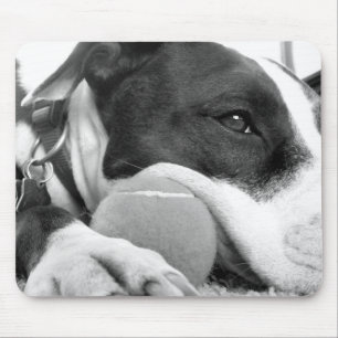 schattig verdrietig uitziende pitbull hond zwart w muismat