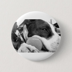 schattig verdrietig uitziende pitbull hond zwart w ronde button 5,7 cm