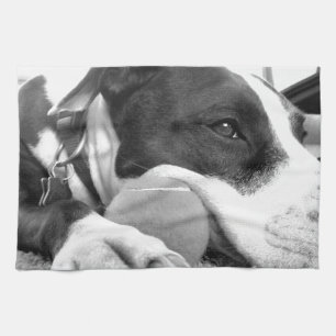 schattig verdrietig uitziende pitbull hond zwart w theedoek