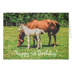 Schattig veulen paard dieren aangepaste gelukkige