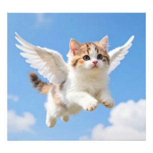 Schattig Vliegend Kittenspookje Calico Tabby Blauw Foto Afdruk
