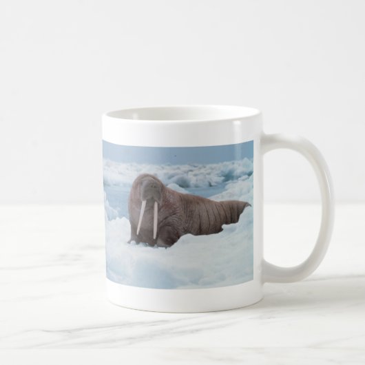 Schattig Walrus Koffiemok (Rechts)