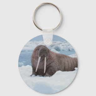 Schattig Walrus Sleutelhanger