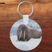 Schattig Walrus Sleutelhanger (Voorkant)