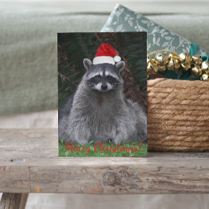 Schattig Wasbeer met Rode Kerstman Hoed Feestdagenkaart