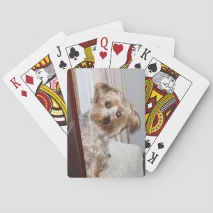Schattig Westie/Yorkie Pokerkaarten