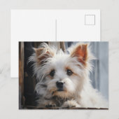 Schattig wit hondenportret briefkaart (Voorkant / Achterkant)