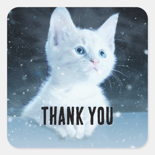 Schattig wit kitten met  blauwe ogen Dank u Vierkante Sticker (Voorkant)