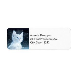 Schattig wit kitten met blauwe ogen etiket