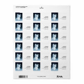 Schattig wit kitten met blauwe ogen etiket (Full Sheet)