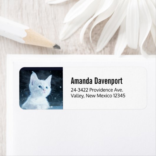 Schattig wit kitten met blauwe ogen etiket (Insitu)