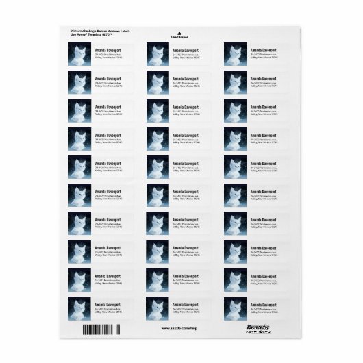 Schattig wit kitten met blauwe ogen etiket (Full Sheet)