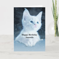 Schattig wit kitten met  blauwe ogen