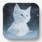 Schattig wit kitten met  blauwe ogen papieren bordje (Voorkant)
