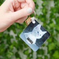 Schattig wit kitten met blauwe ogen