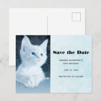 Schattig wit kitten met blauwe ogen
