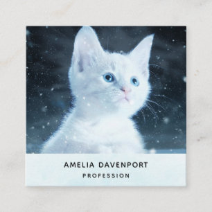 Schattig wit kitten met blauwe ogen vierkante visitekaartje