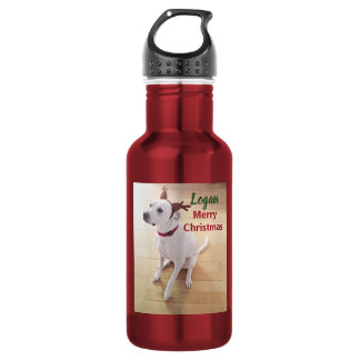 Schattig Wit Rendier Puppie Hond Foto Kerstmis Waterfles