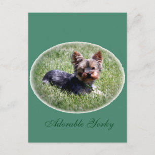 Schattig Yorkie Custom Briefkaart