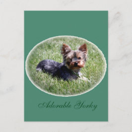 Schattig Yorkie Custom Briefkaart
