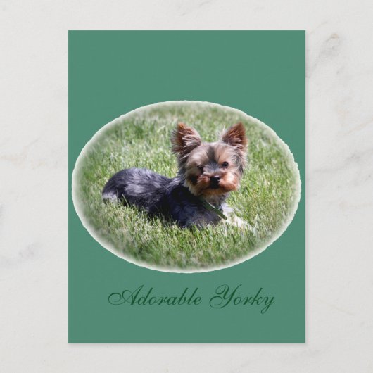 Schattig Yorkie Custom Briefkaart (Voorkant)