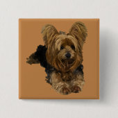 Schattig Yorkshire Terrier Pin Button (Voorkant)