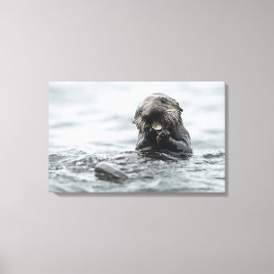 Schattig Zee Otter Canvas Afdruk