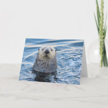 Schattig Zee Otter Peeks