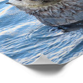 Schattig Zee Otter Peeks Poster (Hoek)