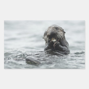 Schattig Zee Otter Rechthoekige Sticker