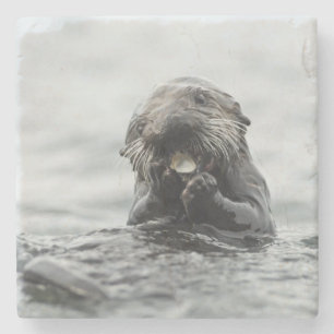 Schattig Zee Otter Stenen Onderzetter